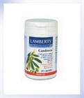 Lamberts Candaway Tablets (8409)